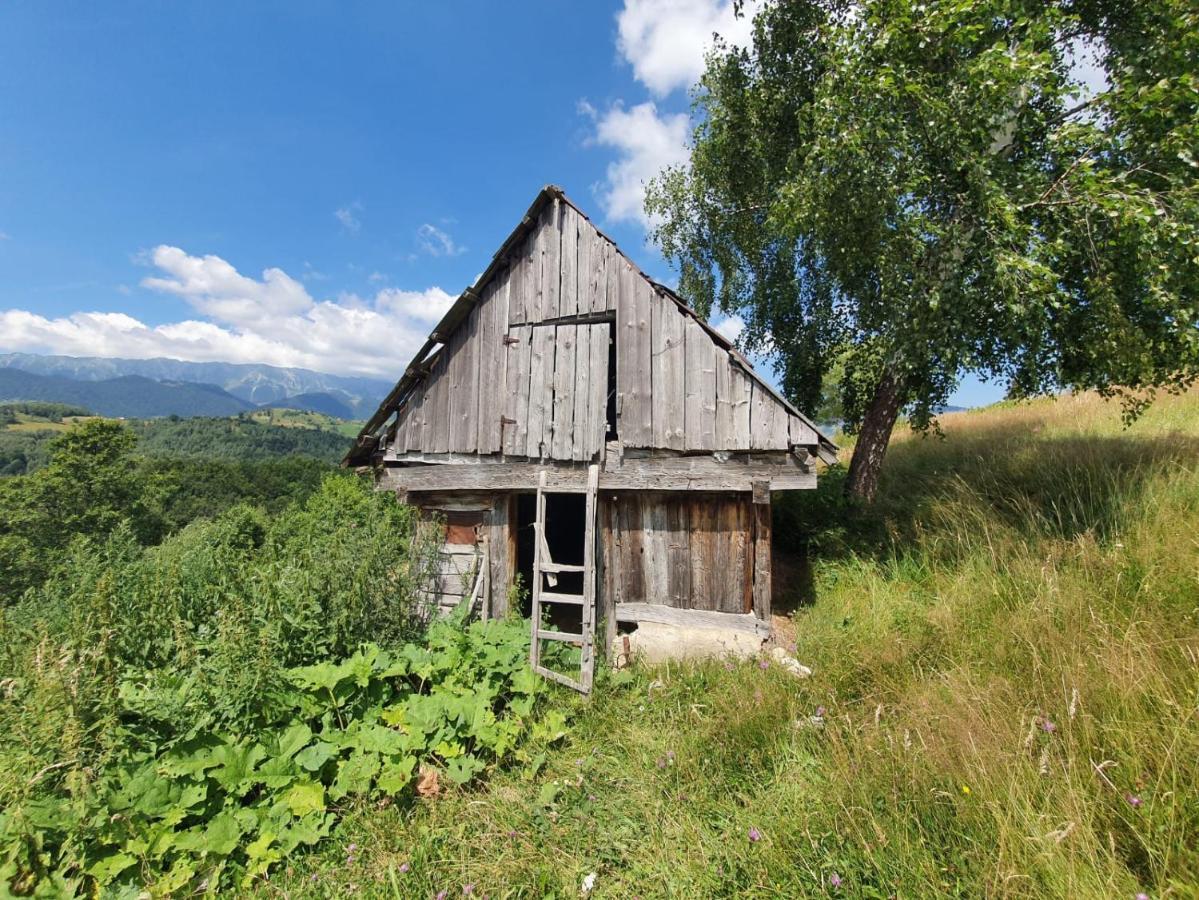 La Odai Bran  Dış mekan fotoğraf
