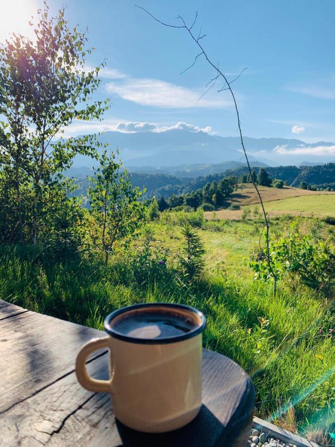 La Odai Bran  Dış mekan fotoğraf
