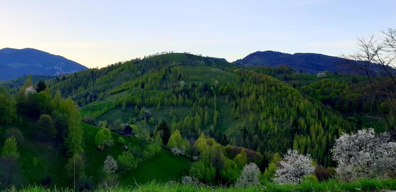 La Odai Bran  Dış mekan fotoğraf