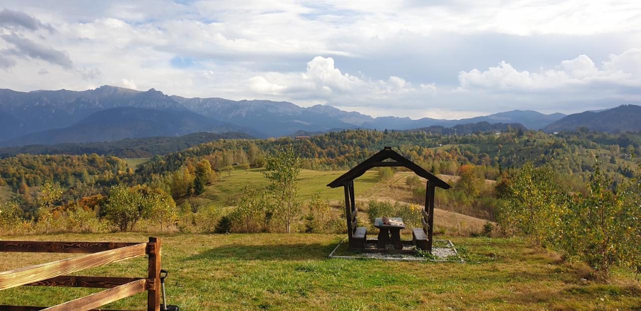 La Odai Bran  Dış mekan fotoğraf